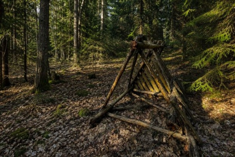 Medību infrastruktūras uzturēšana Latvijas valsts mežos - LV portāls